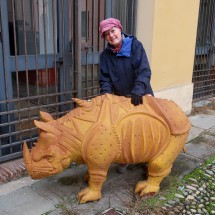Rhino in Sabbionatta (southwest of Mantova)